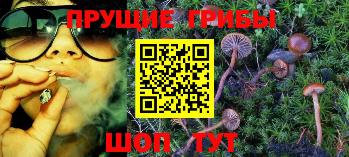 Мурино  Псилоцибиновые грибы GOLDEN TEACHER  Вход с VPN 