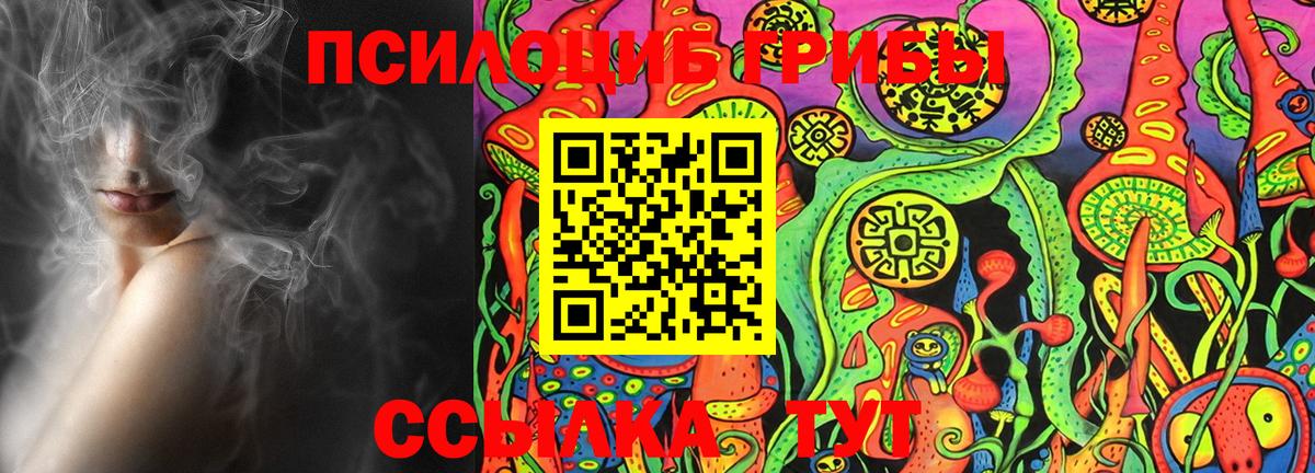 Псилоцибиновые грибы Psilocybine cubensis Мурино